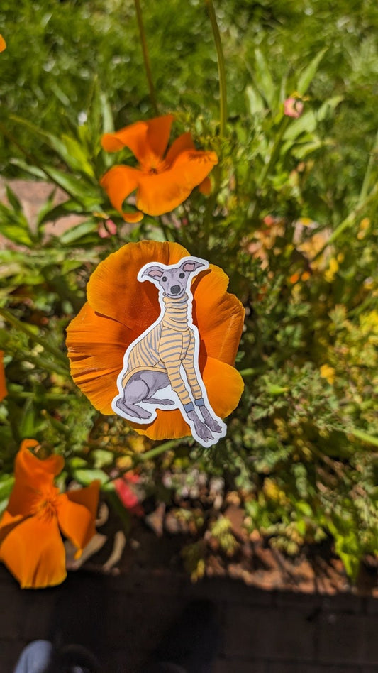 Italian greyhound sticker - cute dog in a jumper die cut sticker