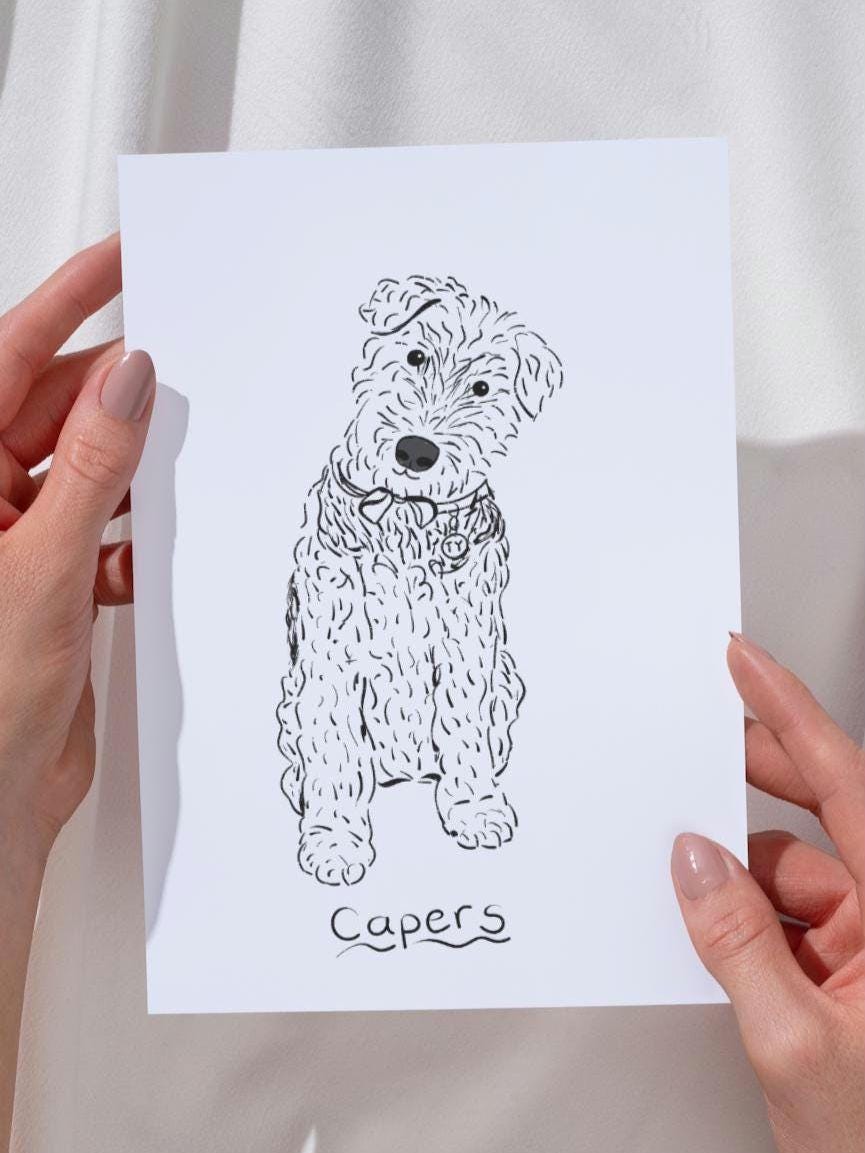 Custom Pet Portrait: Line Art Drawing from Photo (Digital or Print)