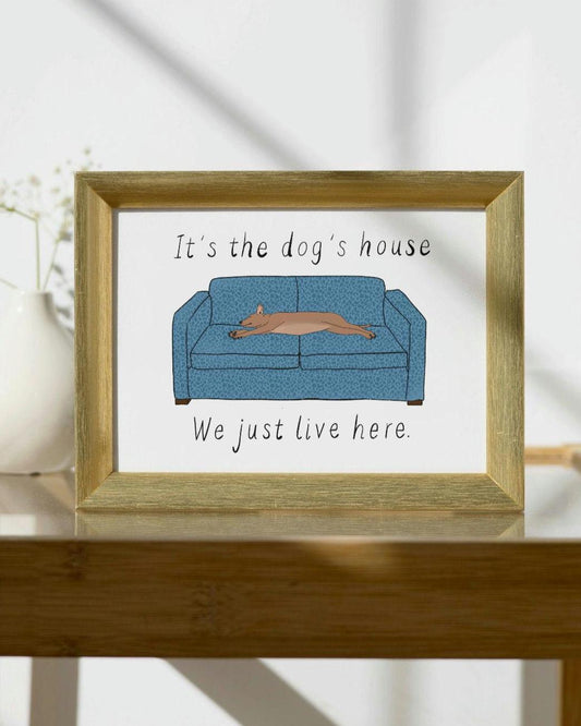 Personalised Dog or Cat on the Sofa Illustration, custom any breed