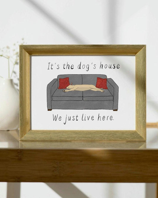 Personalised Dog or Cat on the Sofa Illustration, custom any breed